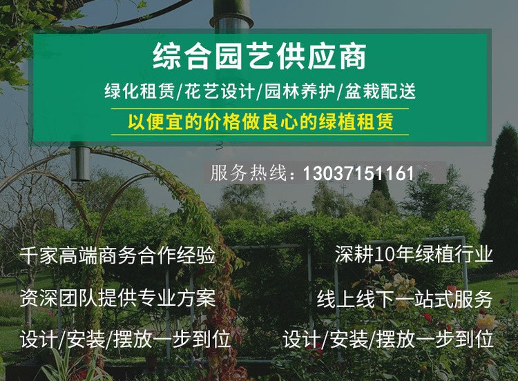 讓半夏園林成為湖北地區(qū)花卉行業(yè)的領(lǐng)跑者